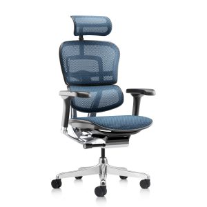 Ergohuman NEW Colors