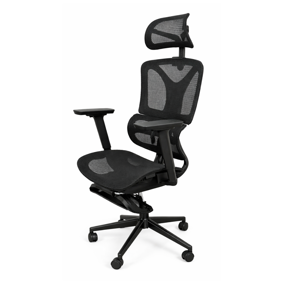 Ergon - Image 2