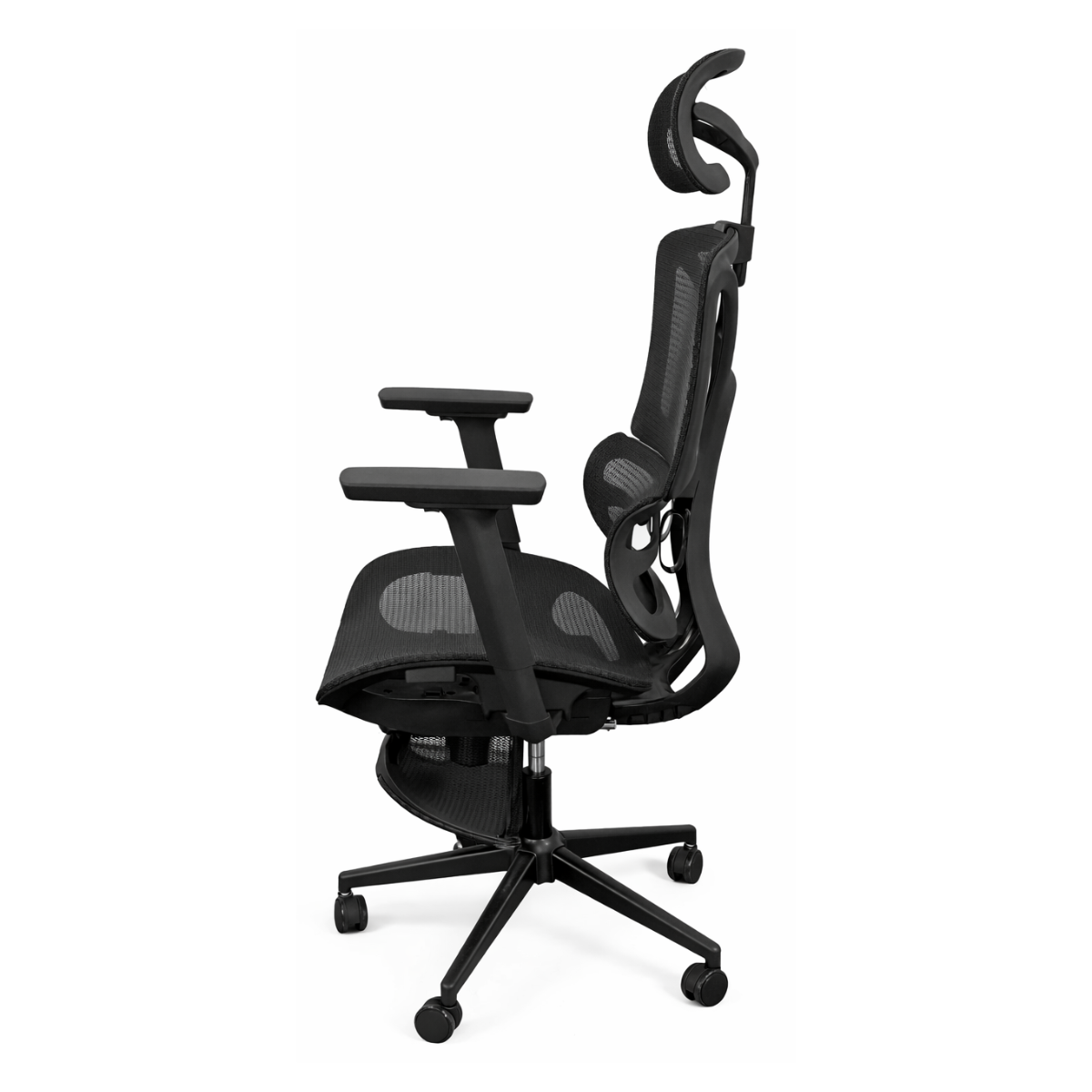 Ergon - Image 3