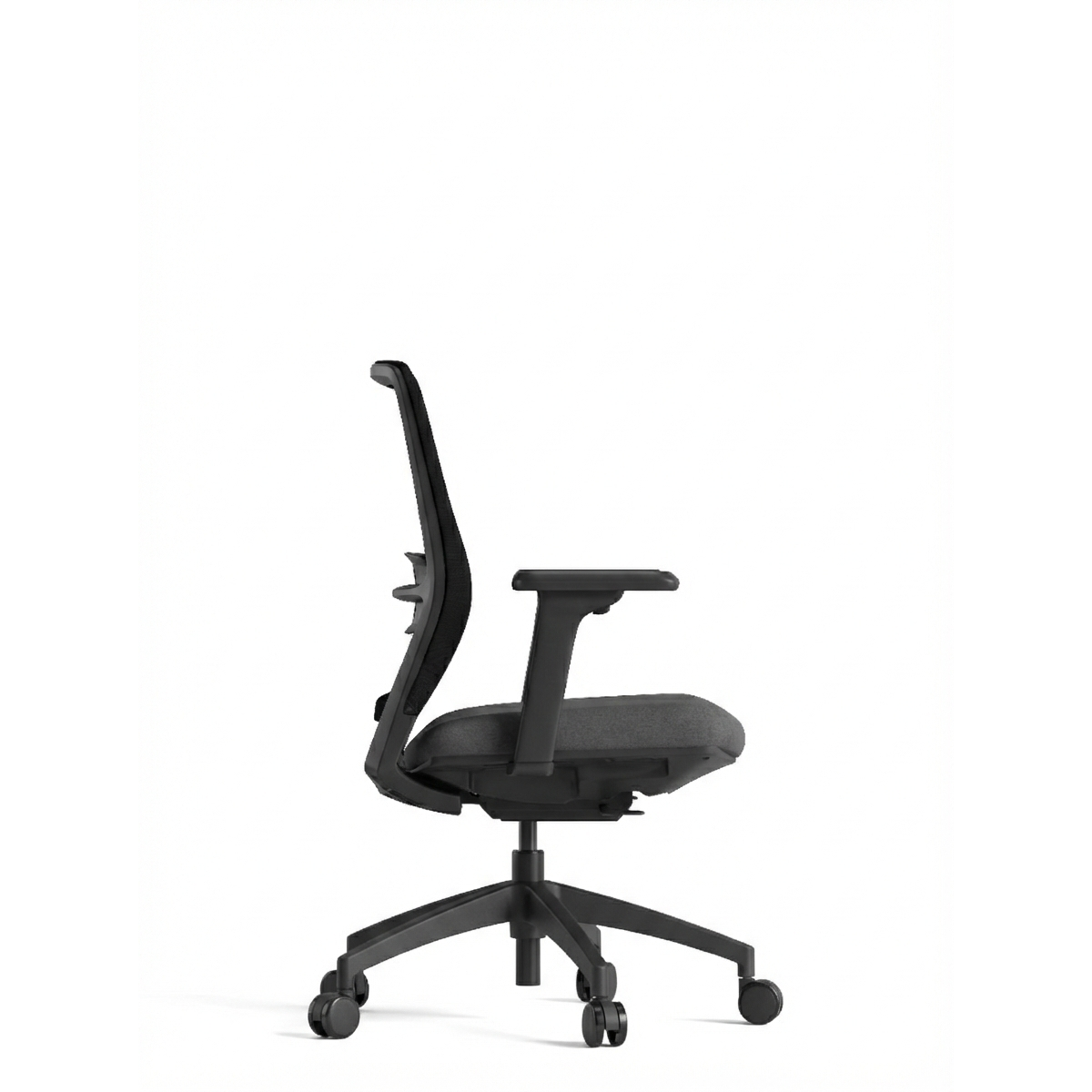 FARO BLACK - Image 3