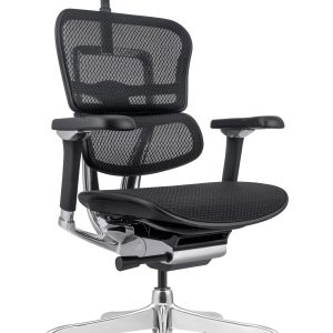 Ергономичен стол Antares ERGOHUMAN 2 LUXURY