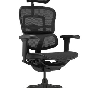 Ергономичен стол Antares ERGOHUMAN ULTRA BLACK, черен