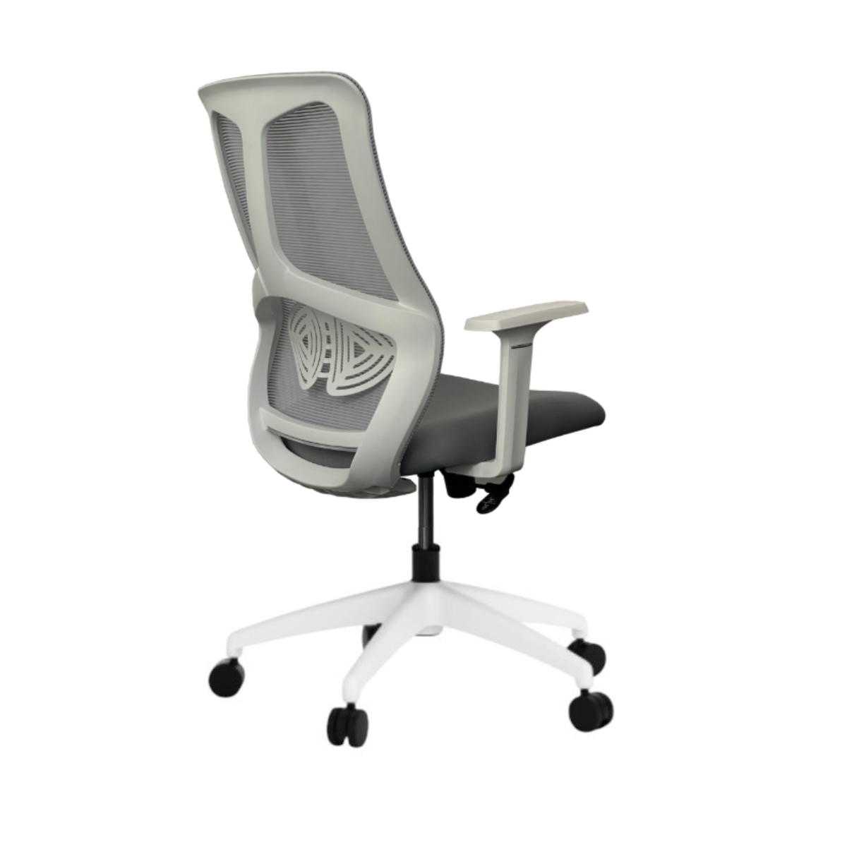 STAR WHITE - Image 2